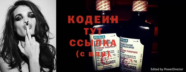 хмурый Каменка