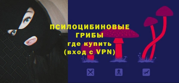хмурый Каменка