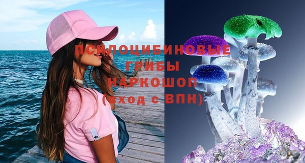 хмурый Каменка