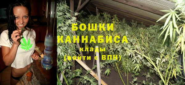 хмурый Каменка