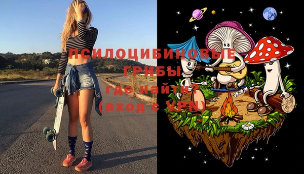 хмурый Каменка
