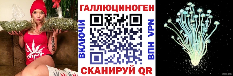 Купить  Камышлов  Псилоцибиновые грибы Cubensis 